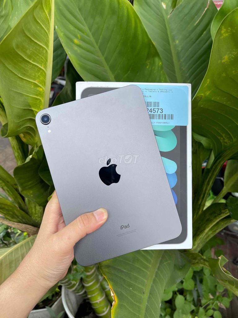 Ipad Mini 6 64GB Wifi Pin 100 sạc 8L Bh 8/2025 keg