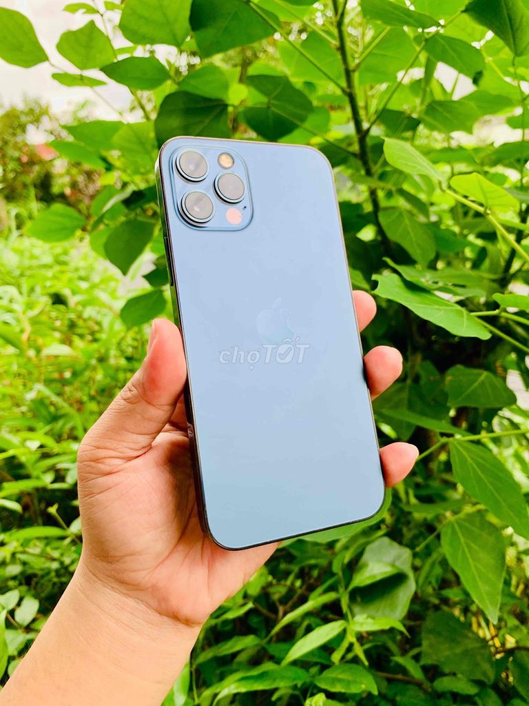 iPhone 12 Pro 128GB Xanh. Mua bán Điện thoại tại Thành phố Cà Mau Cà Mau được đăng bởi Nguyễn An hình 1