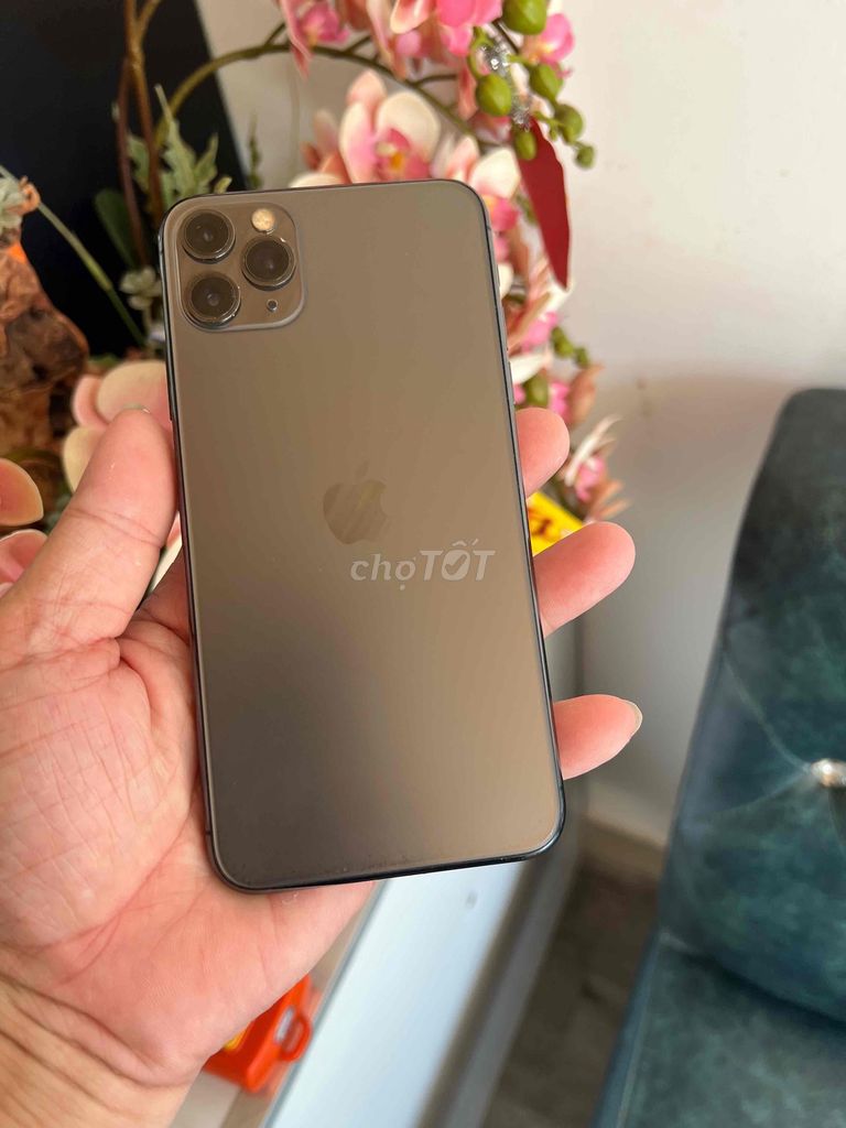 Apple iPhone 11 Pro Max 64GB Xám Quốc tế 95%. Mua bán Điện thoại tại Thành phố Buôn Ma Thuột Đắk Lắk được đăng bởi Tèo Điện Thoại  hình 1