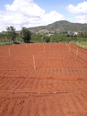 Cho thuê 2ha đất, 100m mặt tiền đường, đường rộng 10m, sát QL27.. Cho thuê đất tại Huyện Đức Trọng Lâm Đồng được đăng bởi Hoàng Đức Tuấn