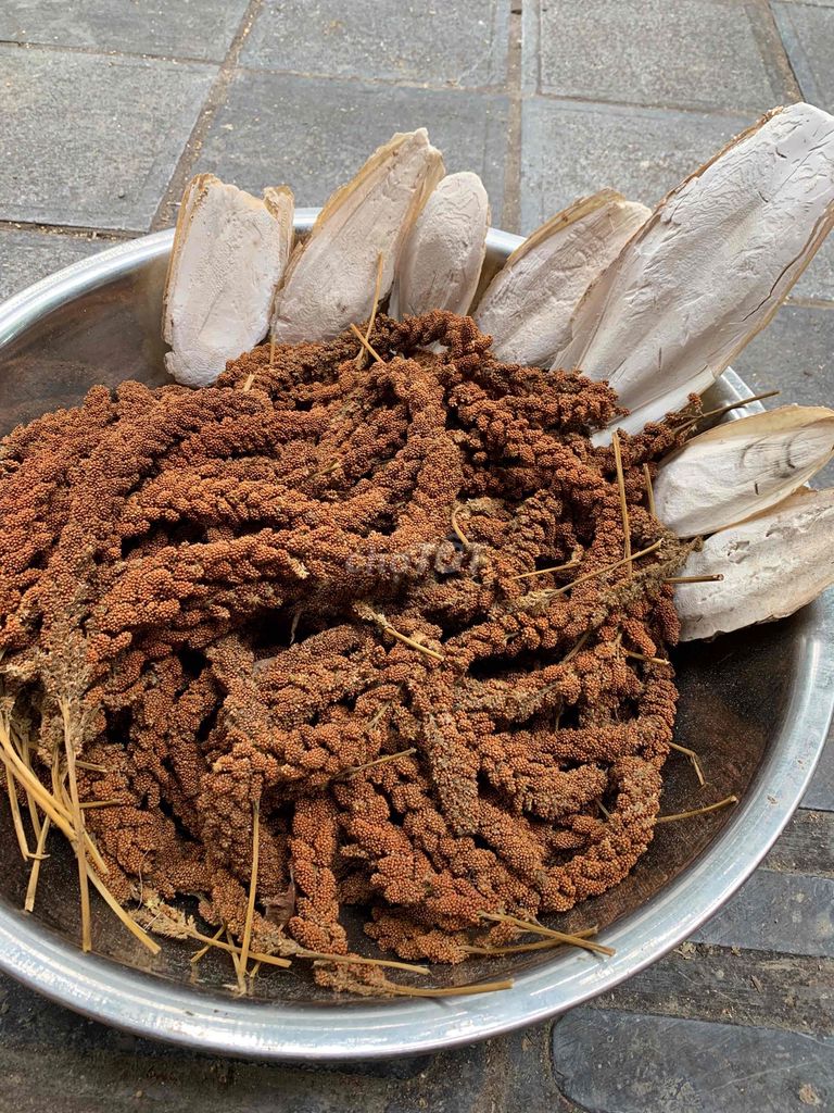 Thức ăn cho chim Bông kê, mai mực. Mua bán Phụ kiện, Thức ăn, Dịch vụ tại Quận Hai Bà Trưng Hà Nội được đăng bởi Đỗ Thị Hạ hình 1
