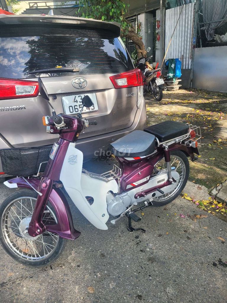 Honda Custom 50 классический сливовый
