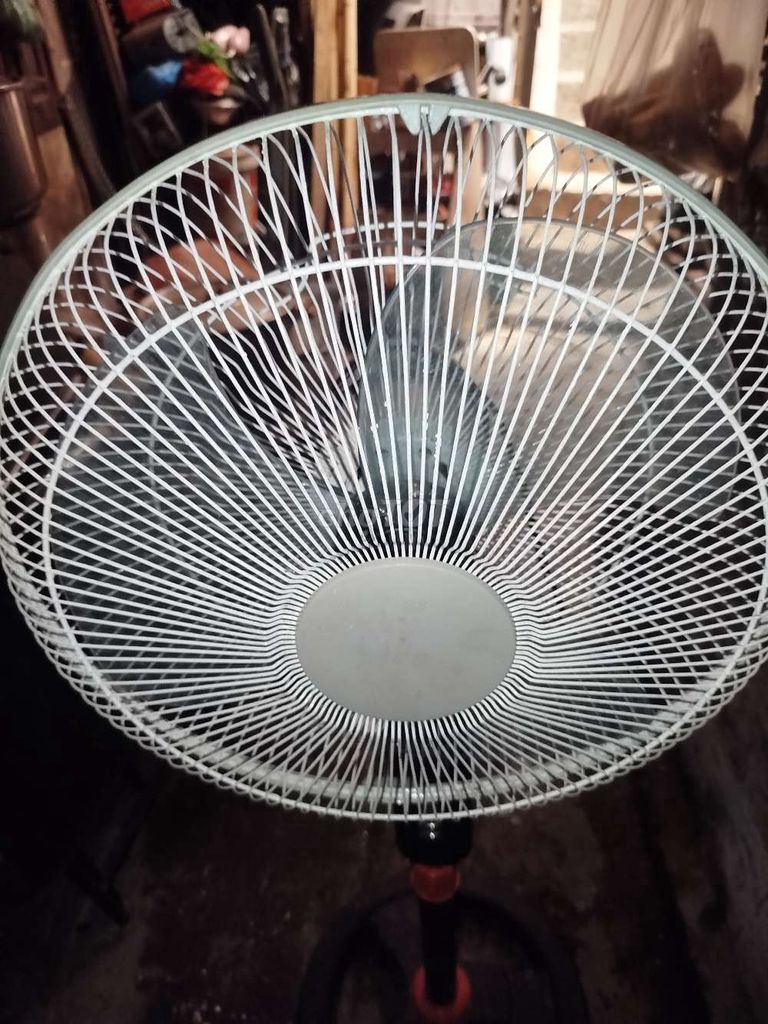 Quạt cây Đen cam Đã qua sử dụng. Mua bán Quạt tại Quận Hoàn Kiếm Hà Nội được đăng bởi hainguyen hình 1