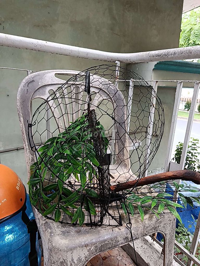 Lồng bẫy chim Kim loại Không hư hỏng. Mua bán Phụ kiện, Thức ăn, Dịch vụ tại Quận 1 Tp Hồ Chí Minh được đăng bởi Đặng Quang Đồng hình 1