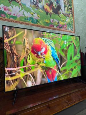 tivi 50in qled đẹp. Mua bán Tivi, Âm thanh tại Thành phố Vũng Tàu Bà Rịa - Vũng Tàu được đăng bởi MÁY CHIẾU VŨNG TÀU