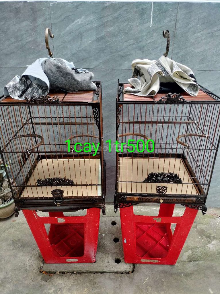 Nhận sửa chữa lồng, thay bằng, bán lồng chào mào. Mua bán Phụ kiện, Thức ăn, Dịch vụ tại Huyện Hóc Môn Tp Hồ Chí Minh được đăng bởi Long hình 1