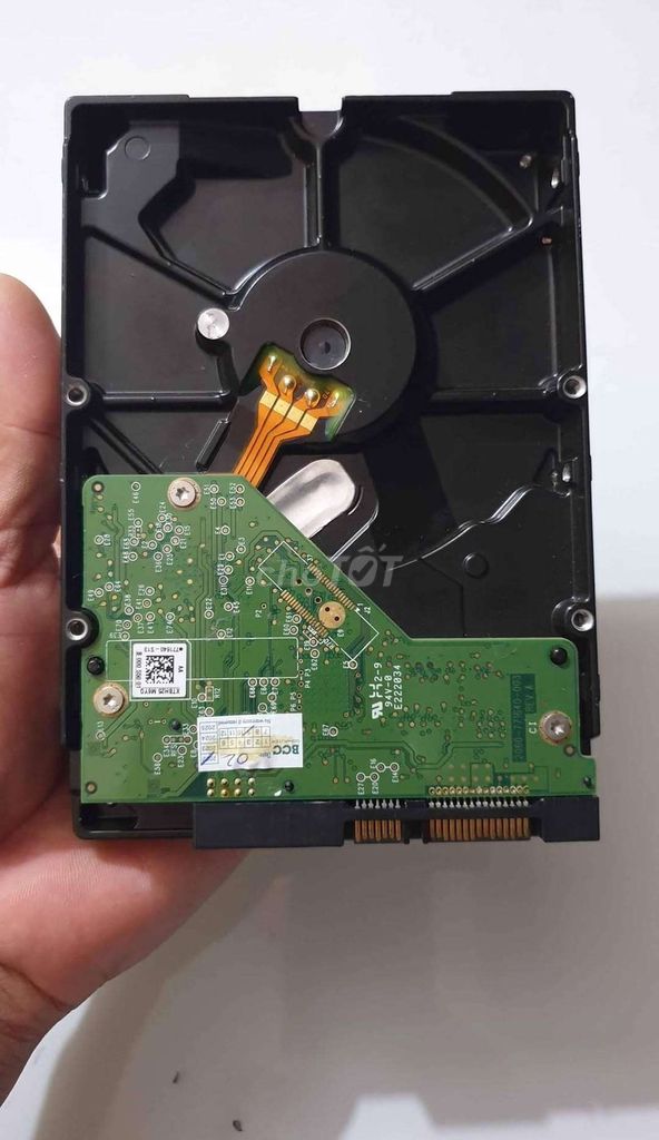 Ổ cứng HDD WD WD2500AAKX 250GB. Mua bán Linh kiện (RAM, Card...) tại Huyện Ba Tri Bến Tre được đăng bởi Phan Hải BT hình 1