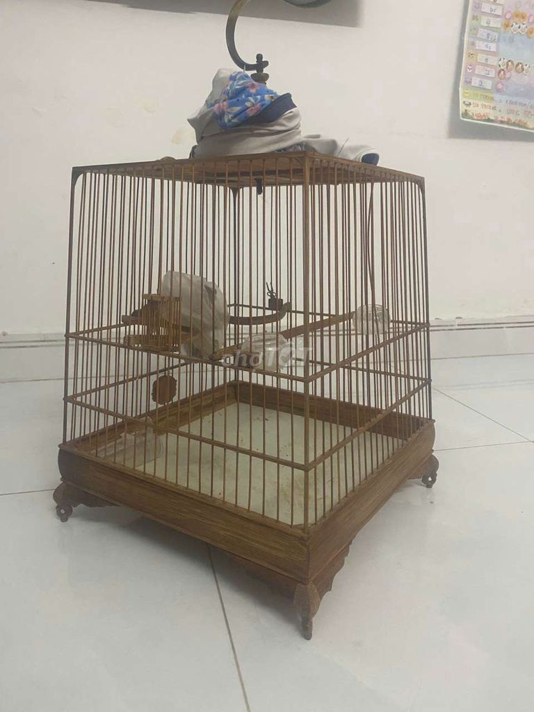 Lồng chim tre + lồng lực 1m nan 1cm. Mua bán Phụ kiện, Thức ăn, Dịch vụ tại Quận 12 Tp Hồ Chí Minh được đăng bởi Minh hình 1