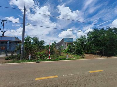 BÁN 5556M2 ĐẤT - CÓ 100M2 THỔ CƯ - MẶT TIỀN ĐƯỜNG NHỰA. Mua bán đất tại Huyện Cẩm Mỹ Đồng Nai được đăng bởi NHẬT MINH