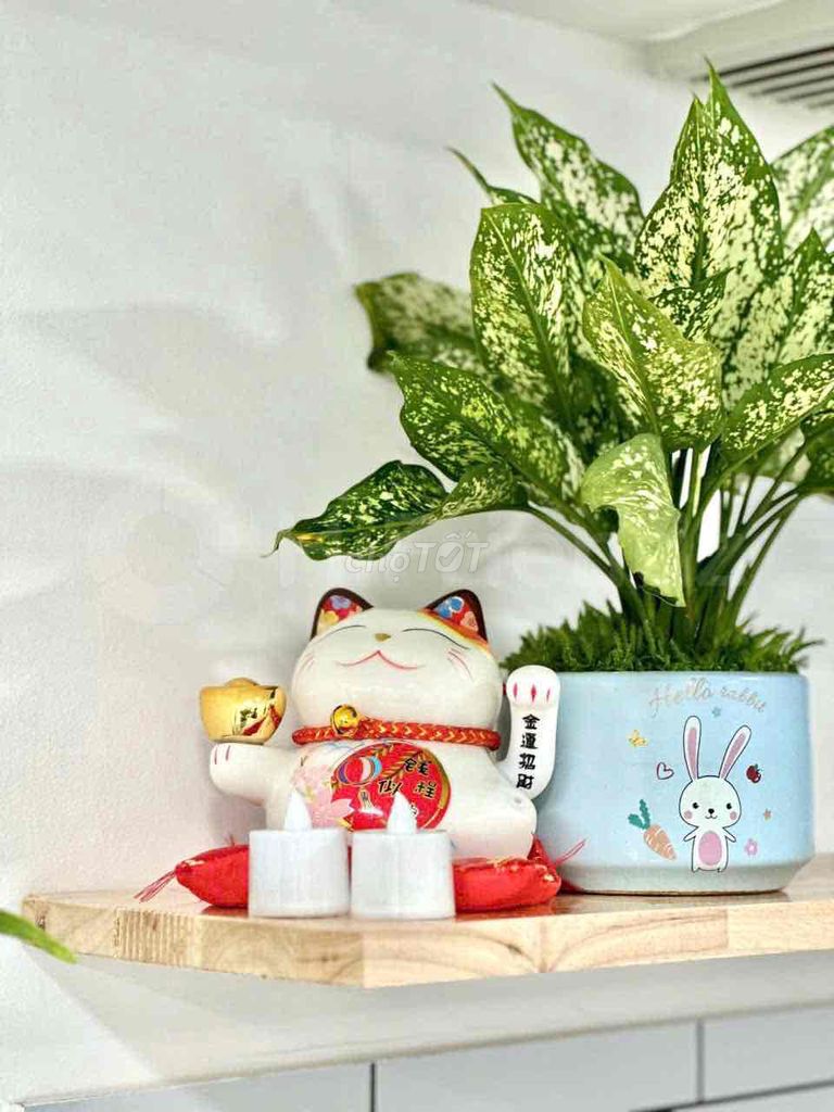 MÈO THẦN TÀI VẪY TAY GỐM SỨ CAO 13 CM CÓ PIN