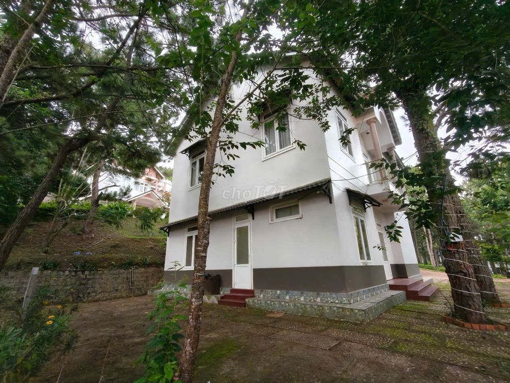 Cho thuê villa 5 phòng phường 8 đà lạt 25 triệu/tháng nọi thất đầy đủ. Cho thuê nhà ở tại Thành phố Đà Lạt Lâm Đồng được đăng bởi nguyễn thị chúc  hình 5