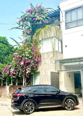 House in Long Biên