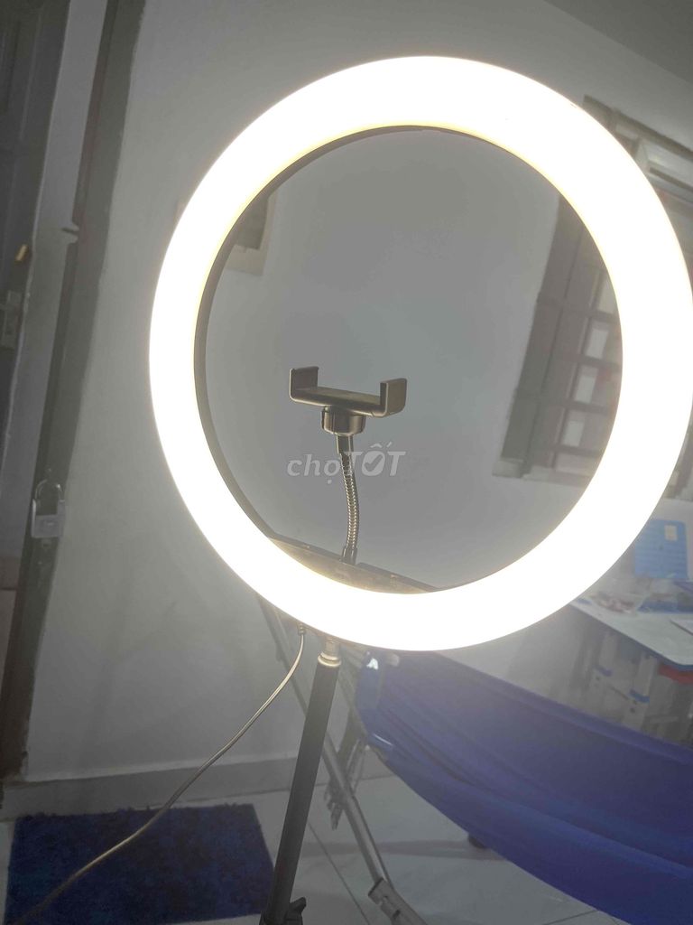 Đèn livestream Trắng Kim loại nhựa Trung bình. Mua bán Đèn tại Thành phố Thủ Đức Tp Hồ Chí Minh được đăng bởi Châu Phúc Hậu hình 1