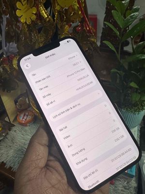 Apple iPhone 12 prm 256G xanh qte mỹ