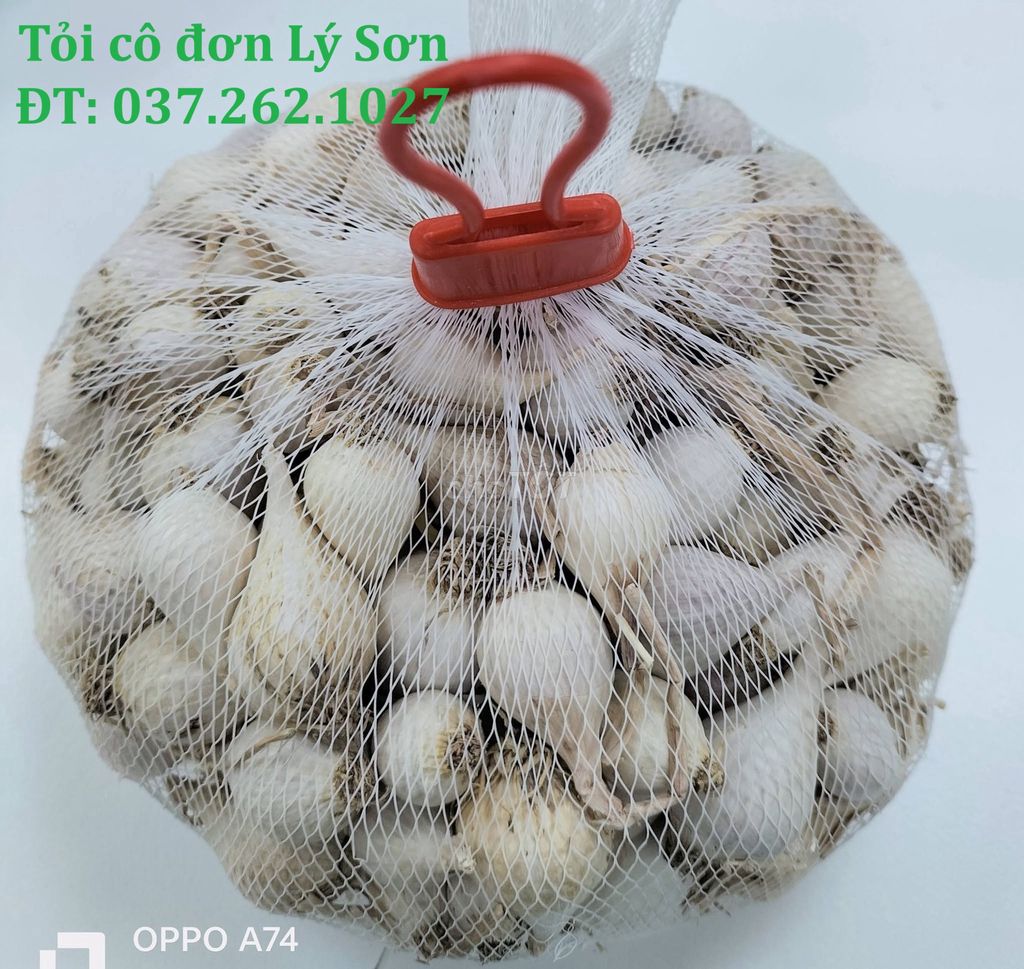 Tỏi Cô Đơn Lý Sơn 1KG. Mua bán Đồ ăn, thực phẩm và các loại khác tại Thành phố Biên Hòa Đồng Nai được đăng bởi Chi Lý hình 1