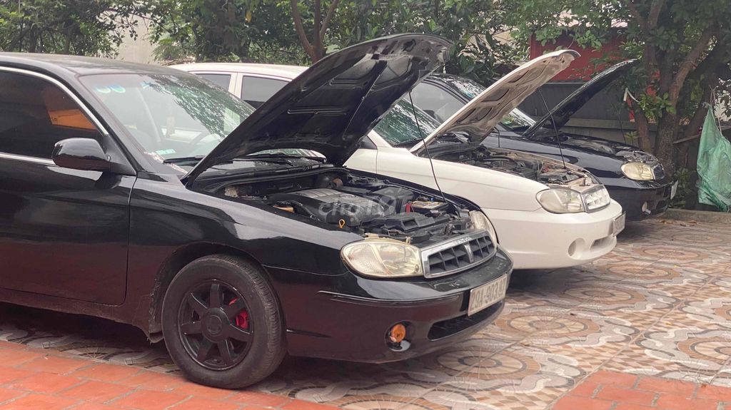 Ảnh số 8