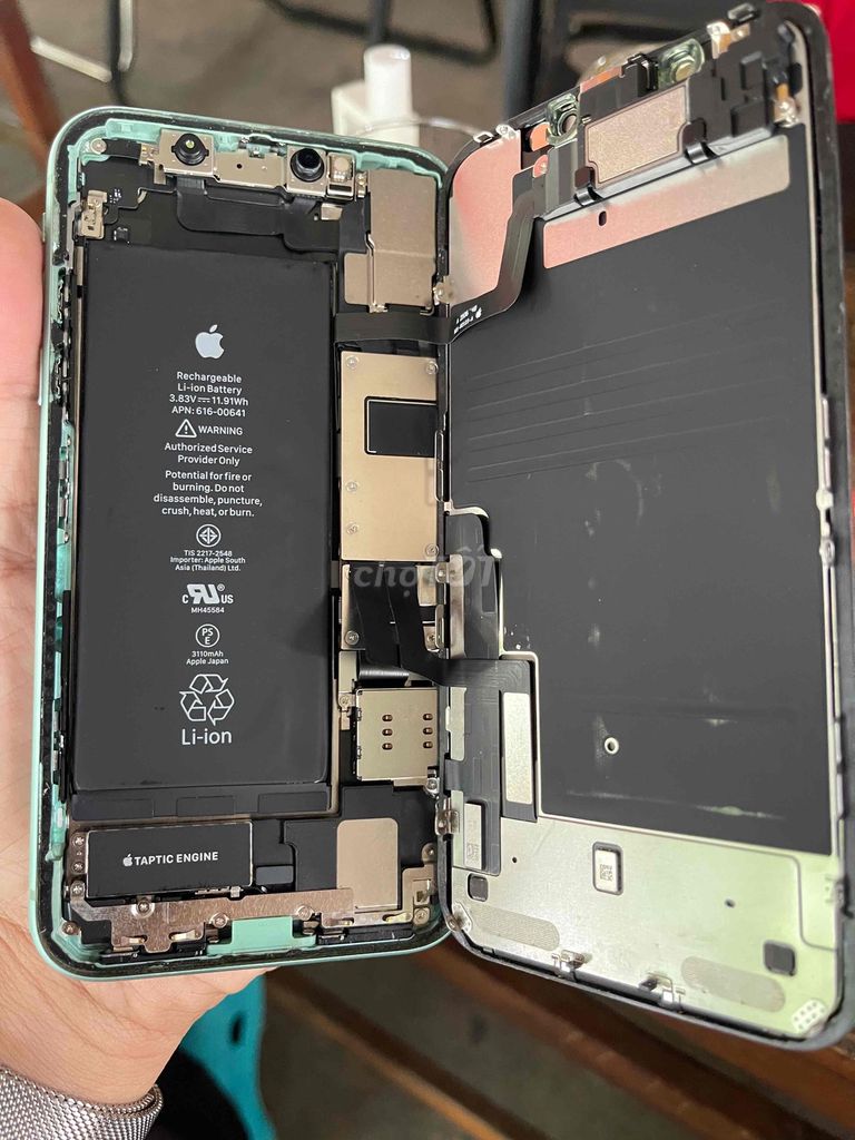Apple iPhone 11 64GB Xanh lá Việt Nam 99%. Mua bán Điện thoại tại Huyện Gò Dầu Tây Ninh được đăng bởi ho hình 1