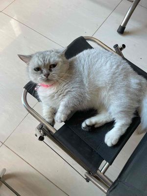 Tim Người Chăm Hộ