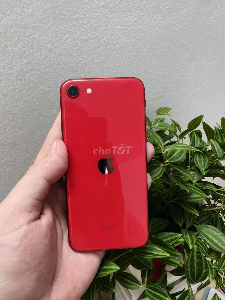 Apple iPhone SE 2020 Đỏ. Mua bán Điện thoại tại Huyện Gia Lộc Hải Dương được đăng bởi Phan Phan hình 1