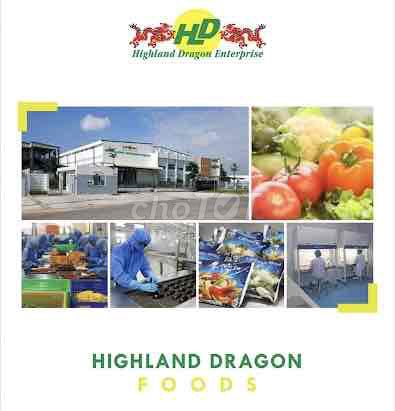 🛑🛑HIGHLAND: TUYỂN LDPT CHẾ BIẾN THỰC PHẨM CA NGÀY