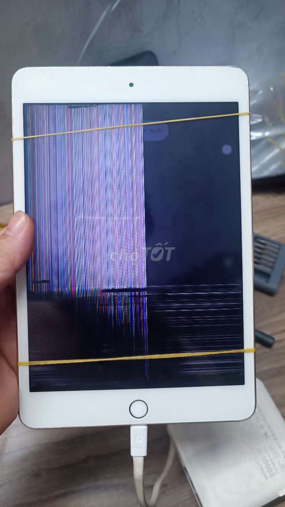 Apple iPad Mini 4 128GB Vàng Hỏng màn hình. Mua bán Máy tính bảng tại Quận Tân Bình Tp Hồ Chí Minh được đăng bởi Nhật Cường Lâm hình 1
