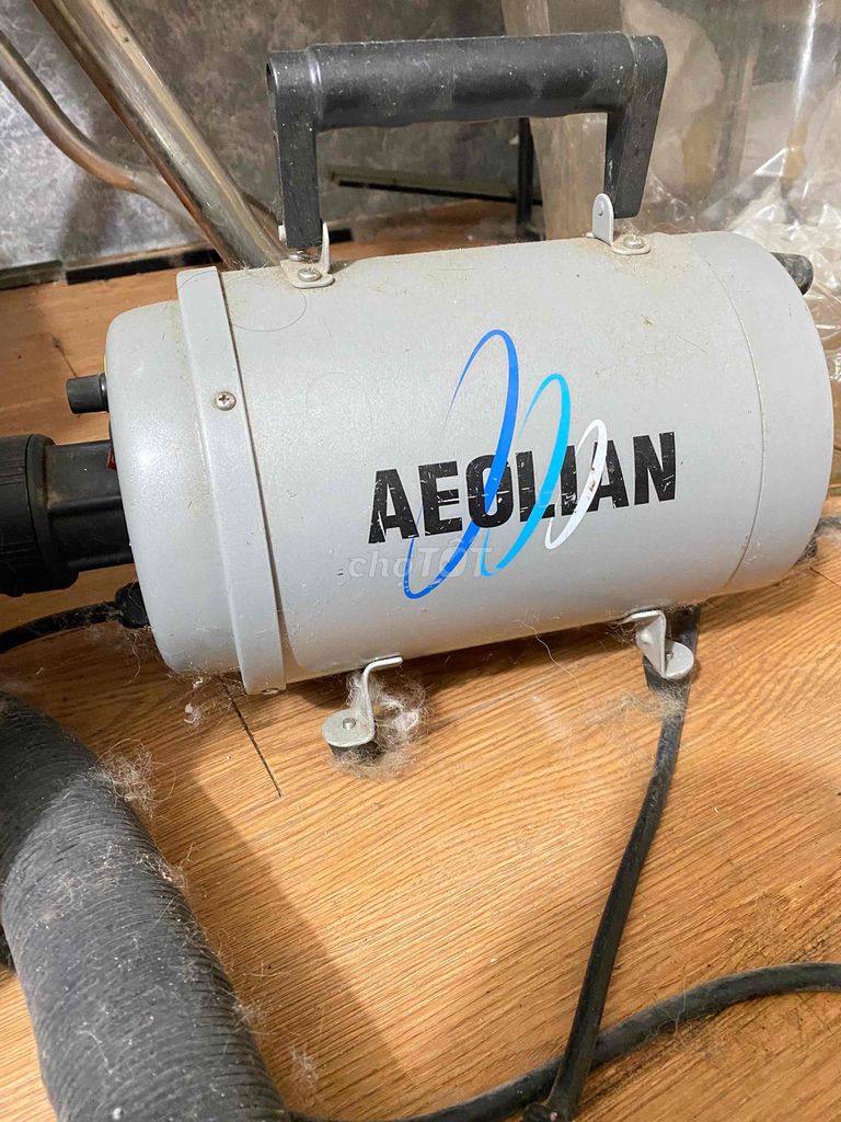 Máy sấy lông thú cưng Aeolian Xám. Mua bán Phụ kiện, Thức ăn, Dịch vụ tại Quận 6 Tp Hồ Chí Minh được đăng bởi Di An hình 1