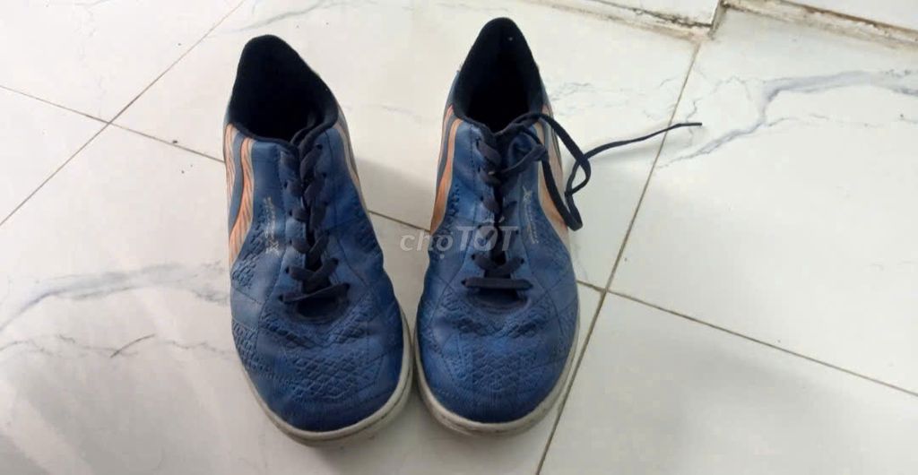 (Free ship)  Pan Vigor X Thunder TF