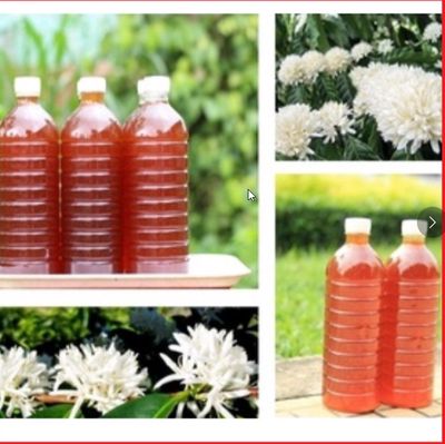 MẬT ONG HOA CÀ PHÊ ĐẮK LẮC NGUYÊN CHẤT CHAI 1L. Mua bán Đồ ăn, thực phẩm và các loại khác tại Quận Hoàng Mai Hà Nội được đăng bởi Siêu thị Anh Tú 68  
