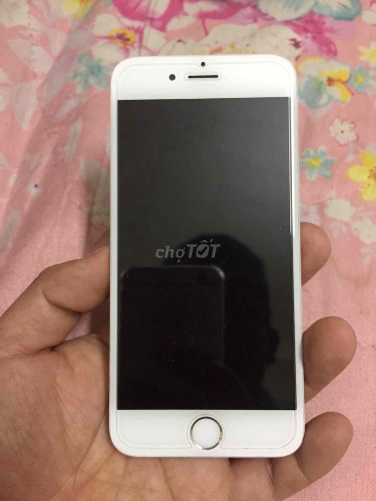 Màn hình iphone 6