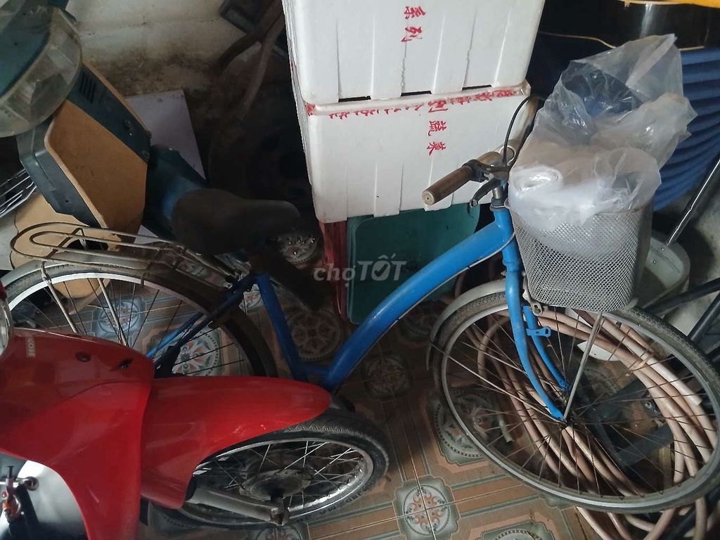 Dọn nhà bán xe đạp. Mua bán Xe đạp tại Huyện Bình Chánh Tp Hồ Chí Minh được đăng bởi Liên hình 3