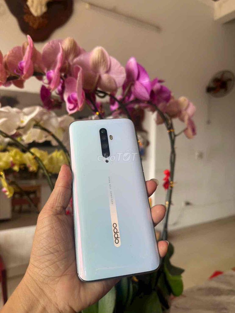 oppo reno 2f ram8/128 pin5000, màu trắng. Mua bán Điện thoại tại Thành phố Buôn Ma Thuột Đắk Lắk được đăng bởi cầm đồ nguyễn phương hình 1