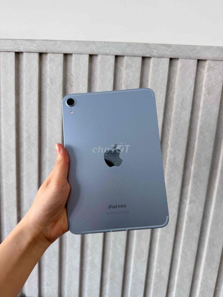 Apple iPad mini 7 128GB 5G Xám Đã sử dụng. Mua bán Máy tính bảng tại Thành phố Thủ Đức Tp Hồ Chí Minh được đăng bởi Lê Thị Thủy hình 1