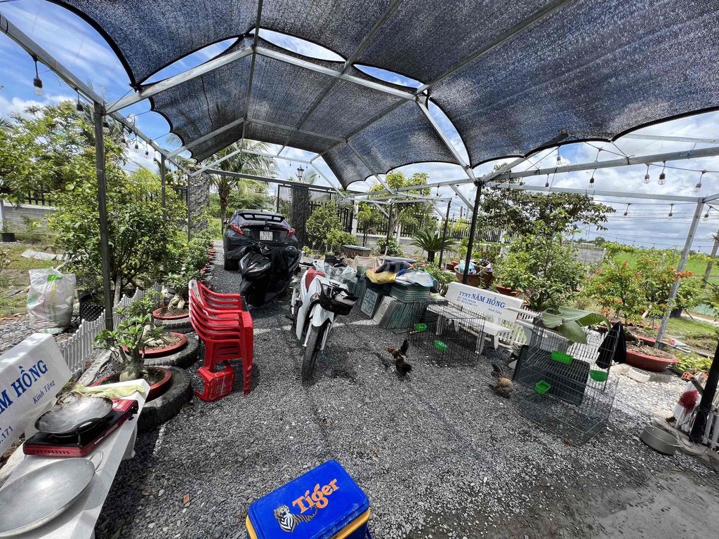 Nhà vườn mặt tiền đá xanh xe tải Mỹ Bình, Tân Trụ