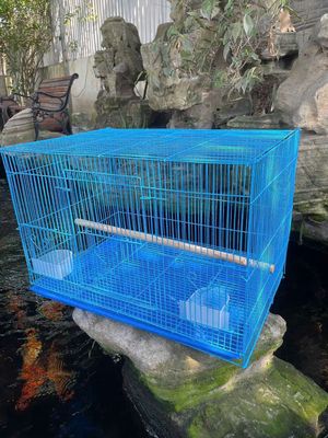 Lồng Chim, bọ, thỏ . . . . tại Tân Bình - Sài Gòn!. Mua bán Phụ kiện, Thức ăn, Dịch vụ tại Quận Tân Bình Tp Hồ Chí Minh được đăng bởi Thái Huy Hòa