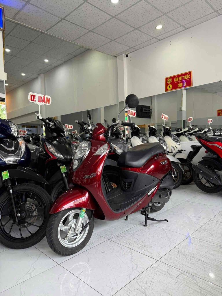 ELITE 50cc-2020. Zin Cọp. Odo 11k. Vỏ Zin Cặp. Mua bán Xe máy tại Thành phố Rạch Giá Kiên Giang được đăng bởi XE MÁY CŨ TÂN 128 hình 9