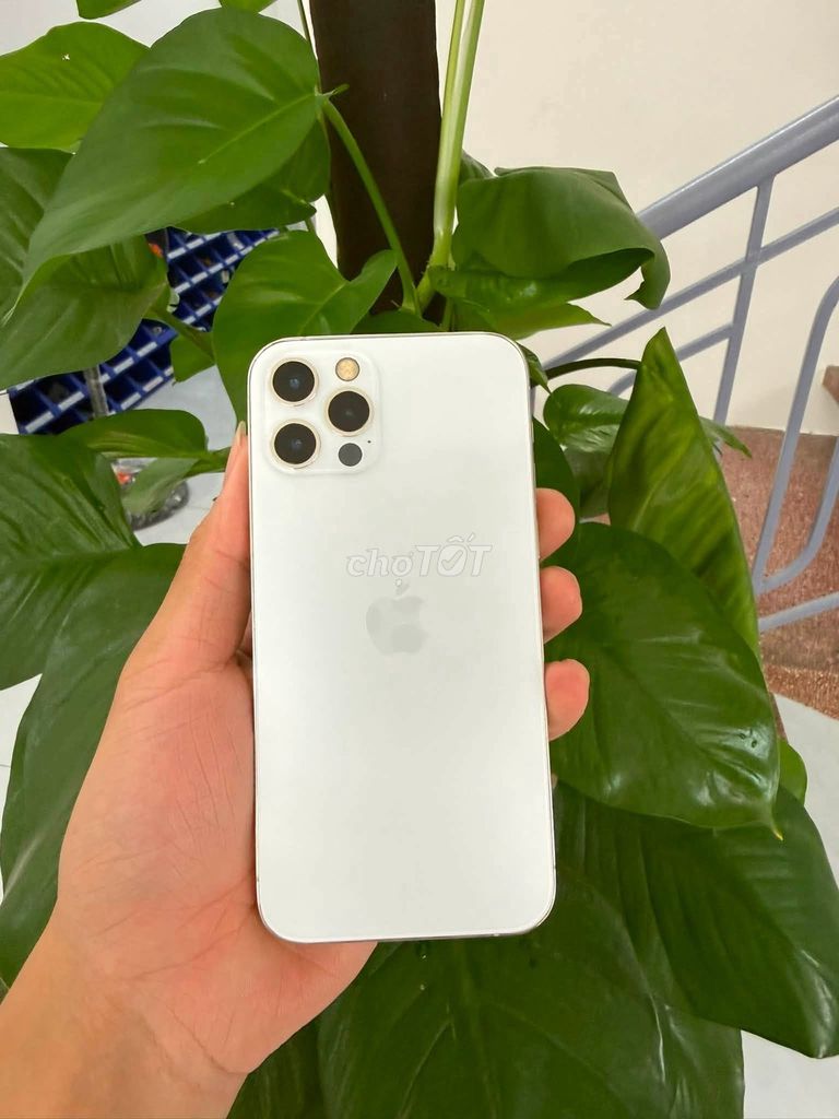Apple iPhone 12 Pro 128GB Trắng Mới. Mua bán Điện thoại tại Quận 10 Tp Hồ Chí Minh được đăng bởi Hội Đồ Điện Tử hình 1