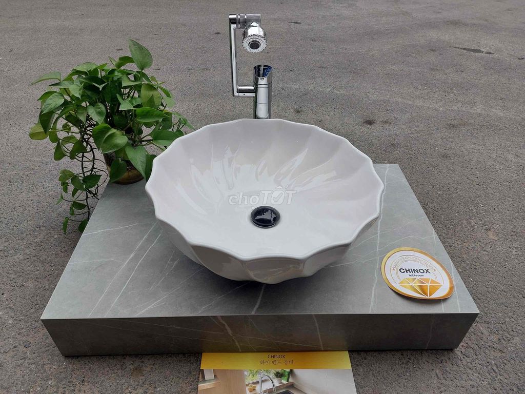 chậu lavabo hình vỏ sò trắng cao cấp giá thanh lý