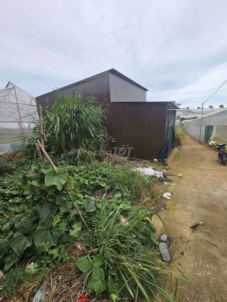 Cần Bán đất gấp giá rẻ chính chủ