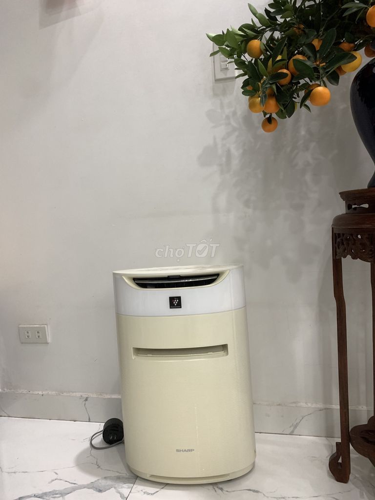 Máy lọc không khí Sharp Kem Bù ẩm. Mua bán Nội thất, đồ gia dụng khác tại Quận Ngô Quyền Hải Phòng được đăng bởi Tên chưa cung cấp hình 1
