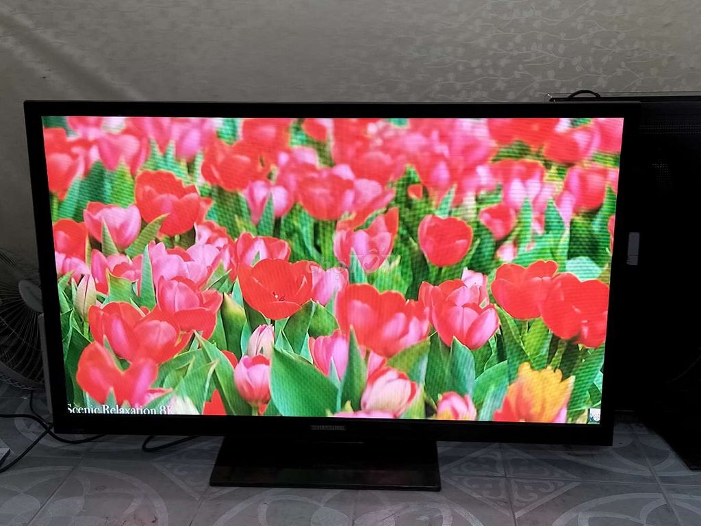 Tivi Samsung 51 inch màn plasma không mạng