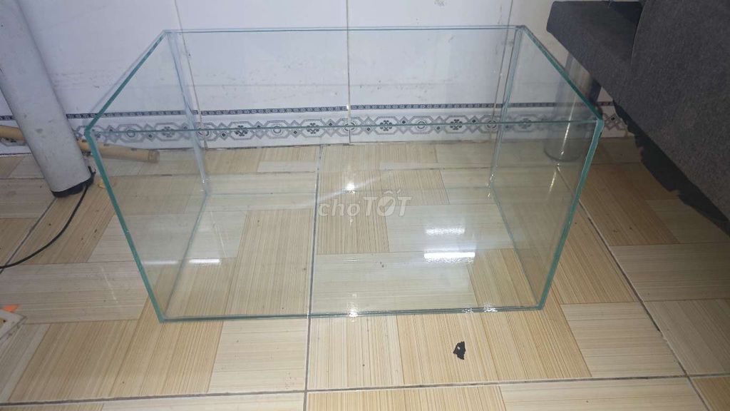 Bể cá cảnh Kính 45x25x25cm. Mua bán Phụ kiện, Thức ăn, Dịch vụ tại Quận Ninh Kiều Cần Thơ được đăng bởi Hiệu Dương hình 1