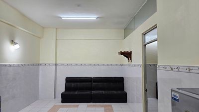 CITYHOME 👉 CHO THUÊ CĂN HỘ 1 PHÒNG, GIÁ RẺ, VŨNG TÀU. Cho thuê căn hộ/chung cư tại Thành phố Vũng Tàu Bà Rịa - Vũng Tàu được đăng bởi CITYHOME    CHUYÊN CHO THUÊ BĐS VŨNG TÀU