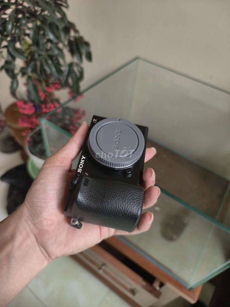 Máy ảnh Sony A6000 Đen lỗi ống ngắm. Mua bán Máy ảnh, Máy quay tại Thành phố Phủ Lý Hà Nam được đăng bởi trongvu hình 1