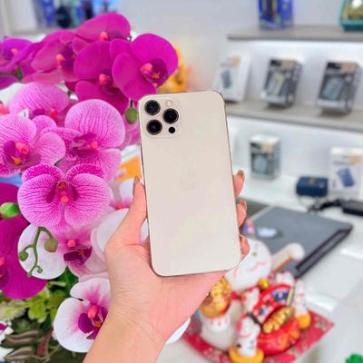 iPhone 12 ProMax (trả góp nợ xấu). Mua bán Điện thoại tại Quận Ninh Kiều Cần Thơ được đăng bởi Cường Mobile Cần Thơ