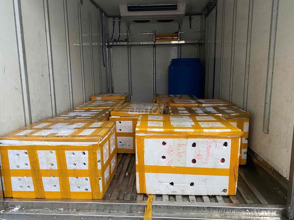 Tuyển nhân viên giao hàng. Việc làm tại Quận Thanh Xuân Hà Nội được đăng bởi Hải sản Ngọc Hân hình 5