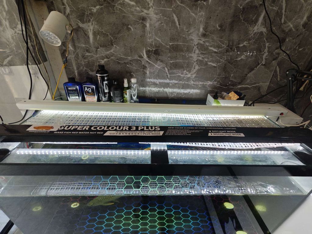 Đèn cấy mô 1m2. Mua bán Đèn tại Thành phố Vĩnh Long Vĩnh Long được đăng bởi Đỉnh Nguyễn hình 1