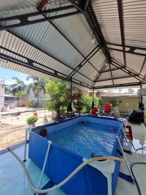 Căn nhà mái thái đẹp lung linh 4 phòng ngủ khu dân cư đông đúc. Mua bán nhà ở tại Huyện Thống Nhất Đồng Nai được đăng bởi Hung