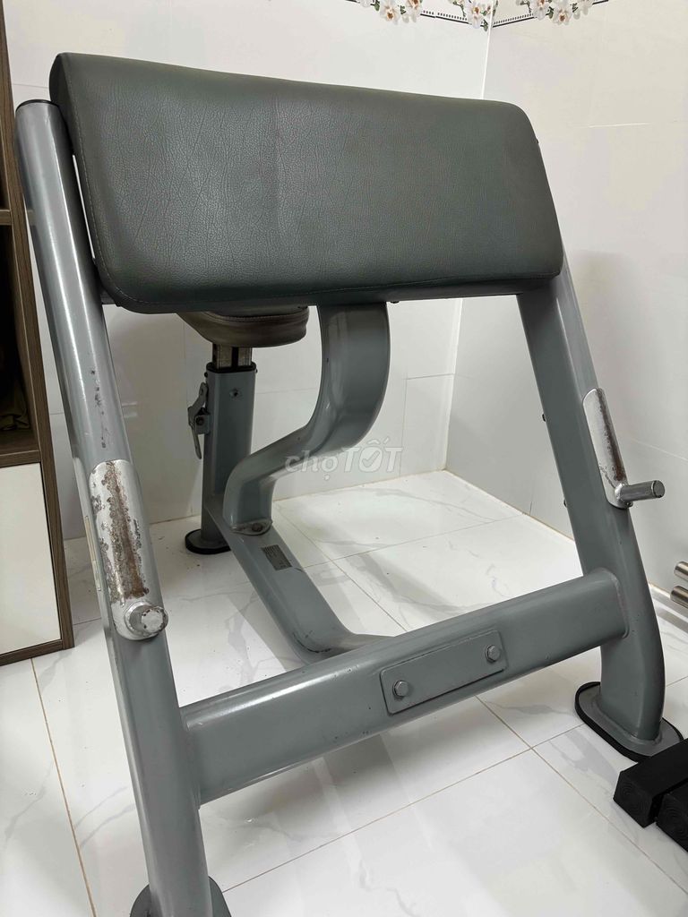 ghế tập tay trước impulse