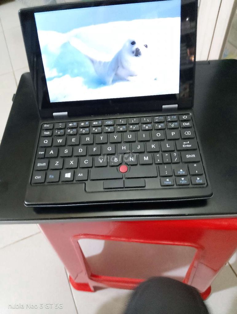 Laptop mini Celeron J4005 7 inch đen đã sử dụng. Mua bán Laptop tại Huyện Trảng Bom Đồng Nai được đăng bởi Tran hình 1