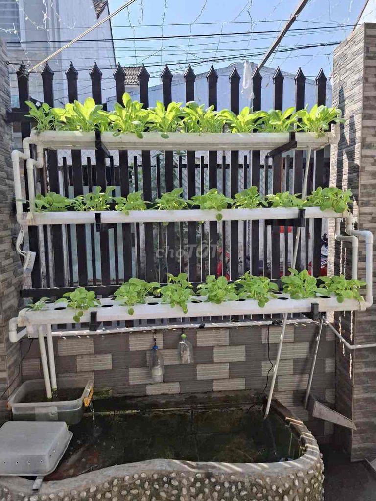 dọn dẹp theo giờ tại tp.hcm. Dịch vụ dọn dẹp nhà tại Quận Bình Thạnh Tp Hồ Chí Minh được đăng bởi Út Thủy hình 1